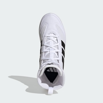 ADIDAS PERFORMANCE Athletic Shoes 'Box Hog' in White