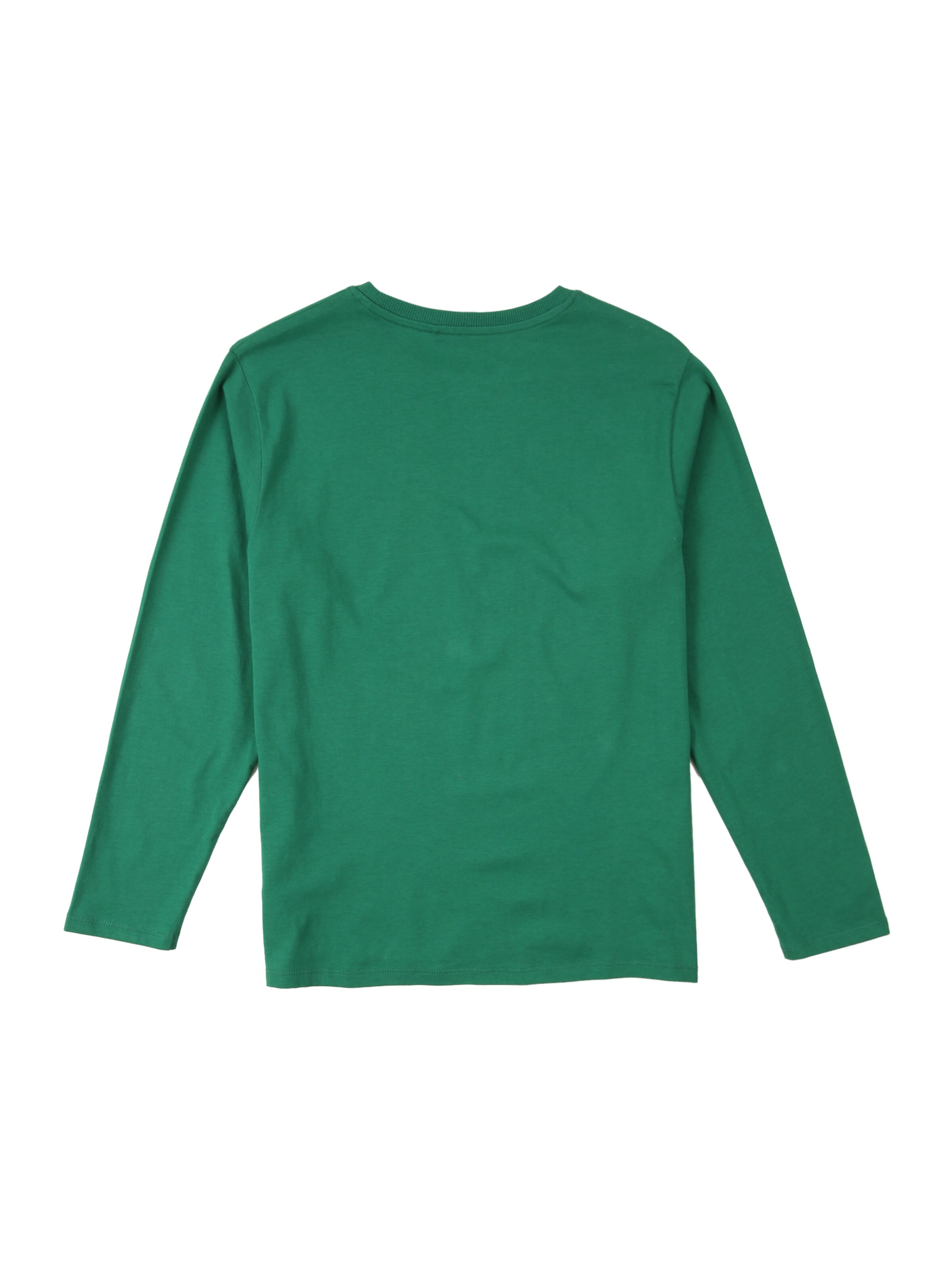 NAME IT Shirt 'NKMVELDO' in Green