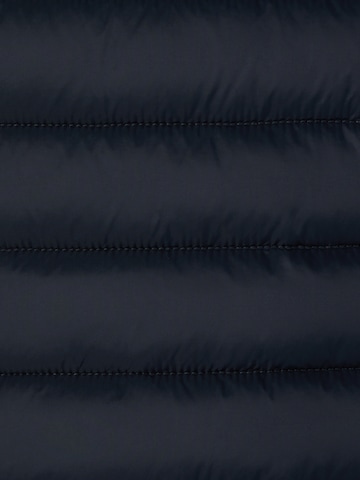 SAVE THE DUCK Wintermantel 'Carol' in Blauw