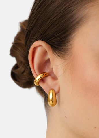PURELEI Oorbellen 'Sleek' in Goud: voorkant