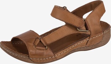 ANDREA CONTI Sandals in Brown: front