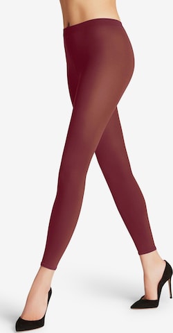 FALKE Leggings 'Cotton Touch' in Rot: Vorderseite