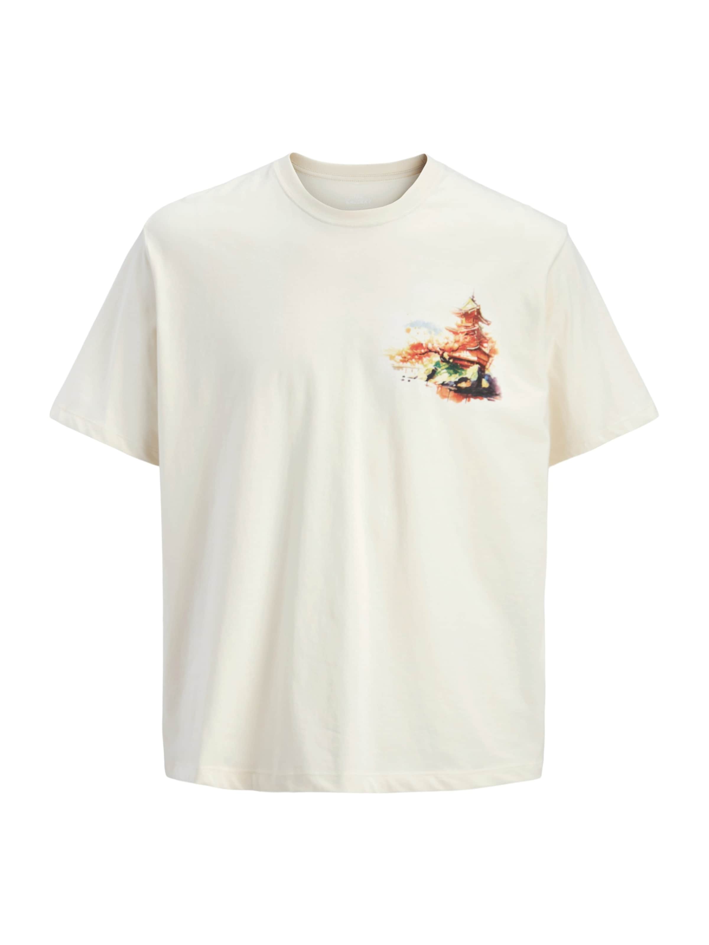 balts Jack & Jones Junior T-Krekls 'JORBig Japan': no priekšpuses