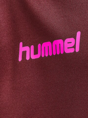 Hummel Sport sweatshirt i röd