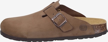 DR. BRINKMANN Clogs 'Nerpio' in Brown: front