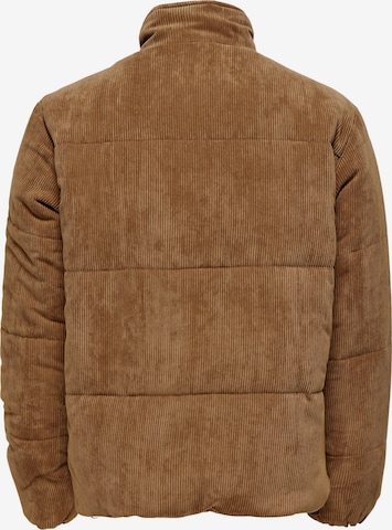Only & Sons Jacke 'Cash' in Braun