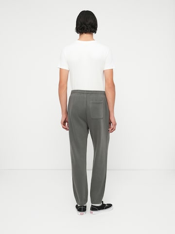 Abercrombie & FitchTapered Hlače 'ESSENTIAL' - siva boja