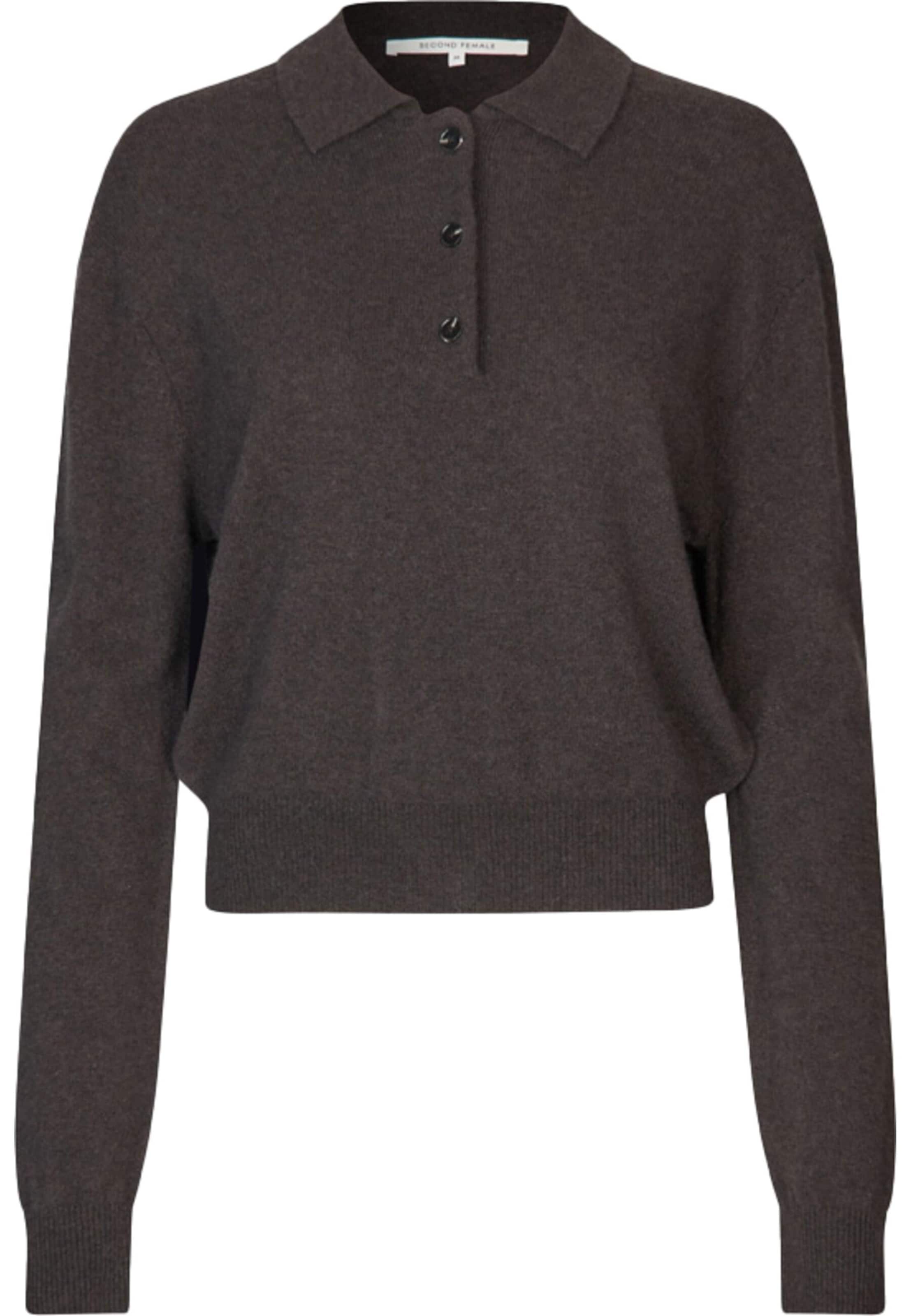 SECOND FEMALE Sweater 'Vilena' in Brown: front