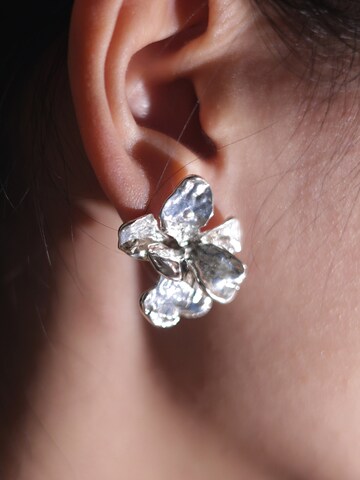 Nightini Earrings in Silver: front