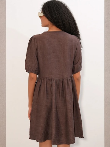 Bigdart Dress in Brown