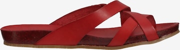 COSMOS COMFORT Mules in Red