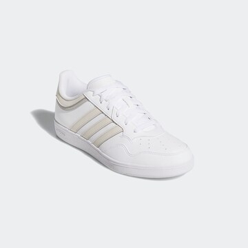 ADIDAS SPORTSWEAR Athletic Shoes 'Hoops 4.0' in White
