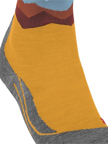 FALKE Sportsocken 'TK2 Explore'‌‌‌‌‌‌‌ in Orange
