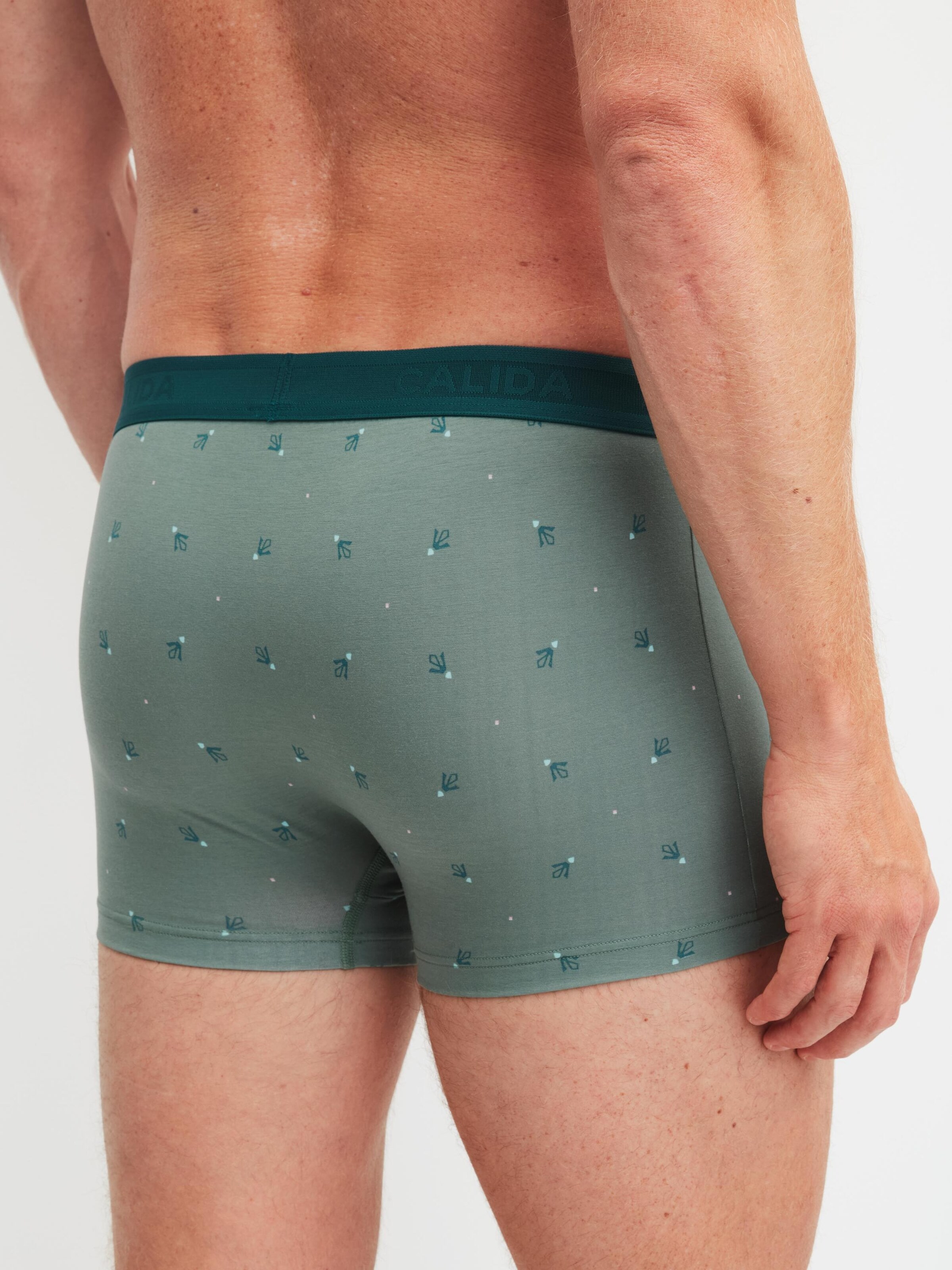Boxer 'Grafic Cotton' di CALIDA in verde