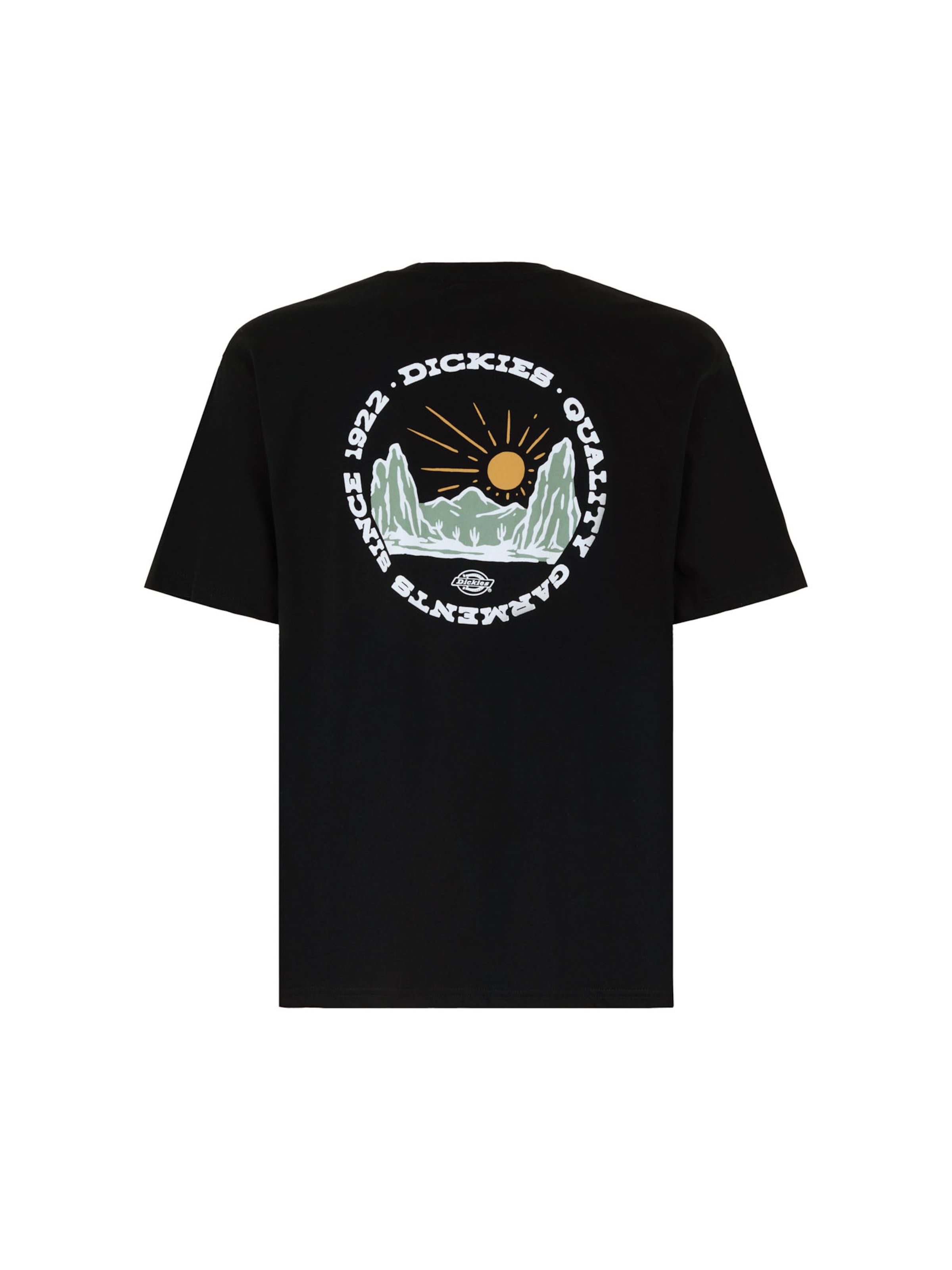 DICKIES Särk, värv must