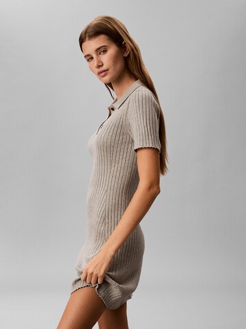 Calvin Klein Jeans Kleid in Grau