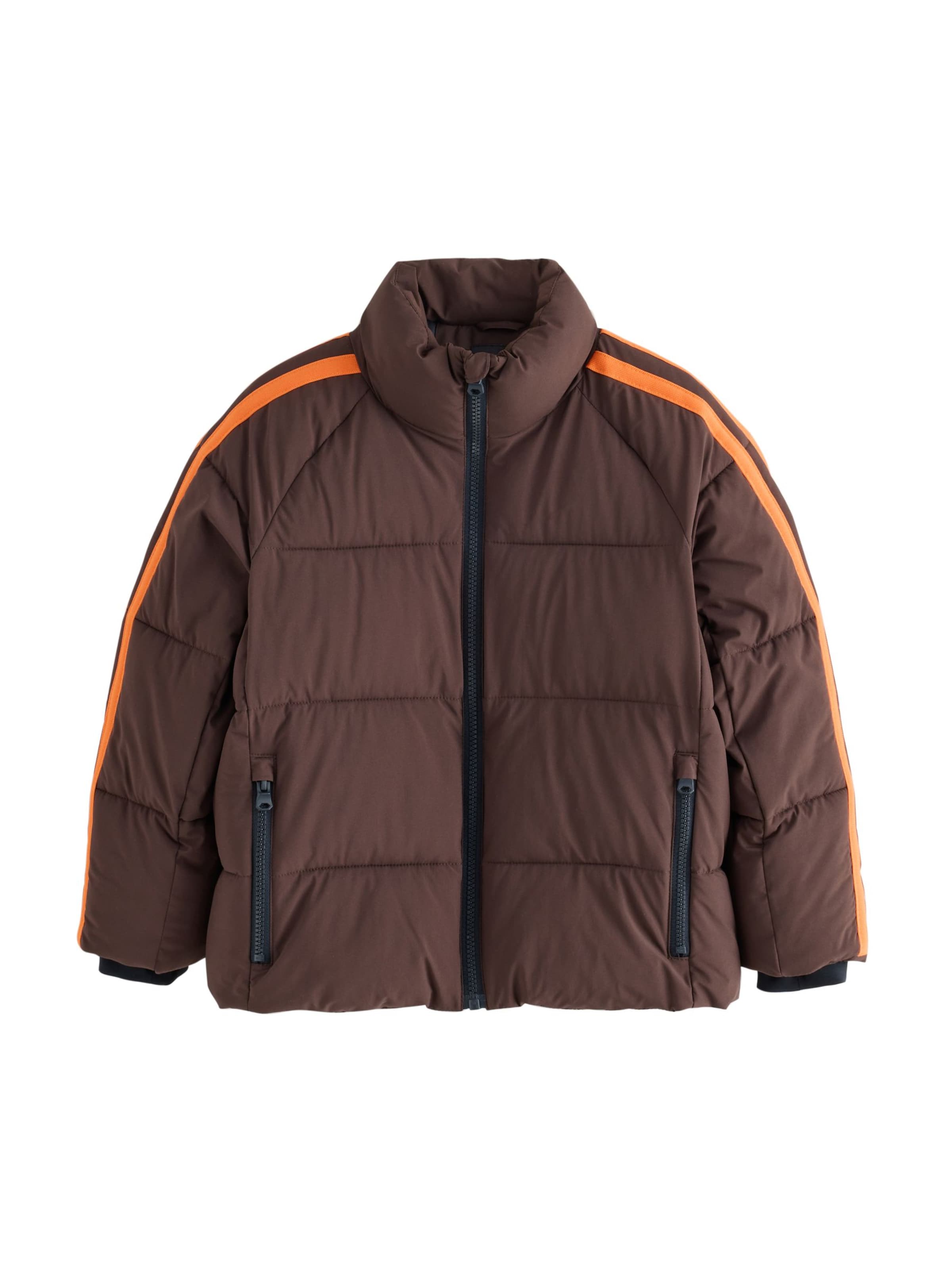 Next Winter jacket in Brown: front
