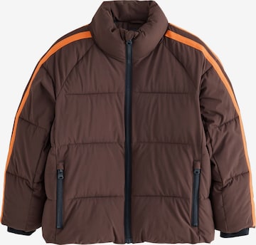 Next Winterjas in Bruin: voorkant