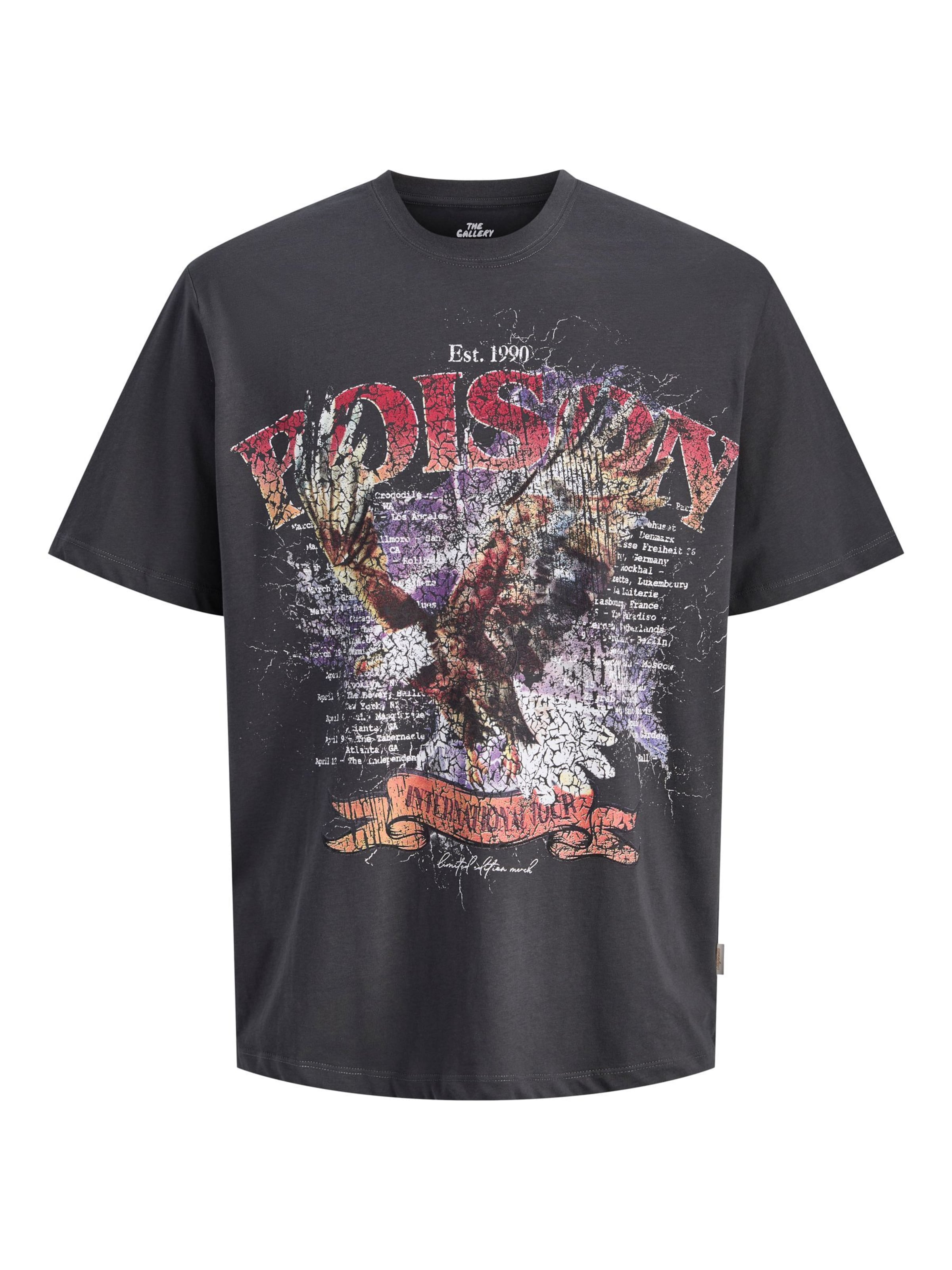 JACK & JONES - Camiseta en gris: frente