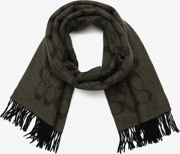 Sciarpa di COACH in grigio: frontale