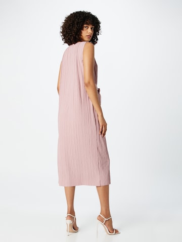 Max Mara Leisure - Vestido 'VADIUS' em rosa