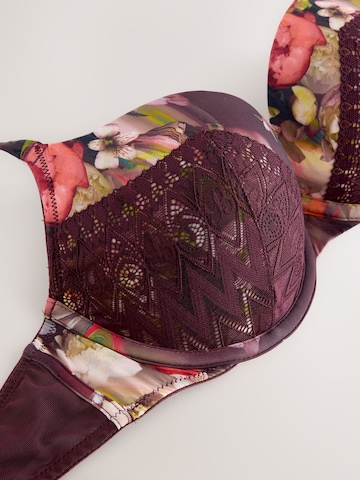 B by Ted Baker - Push-up Sujetador en lila