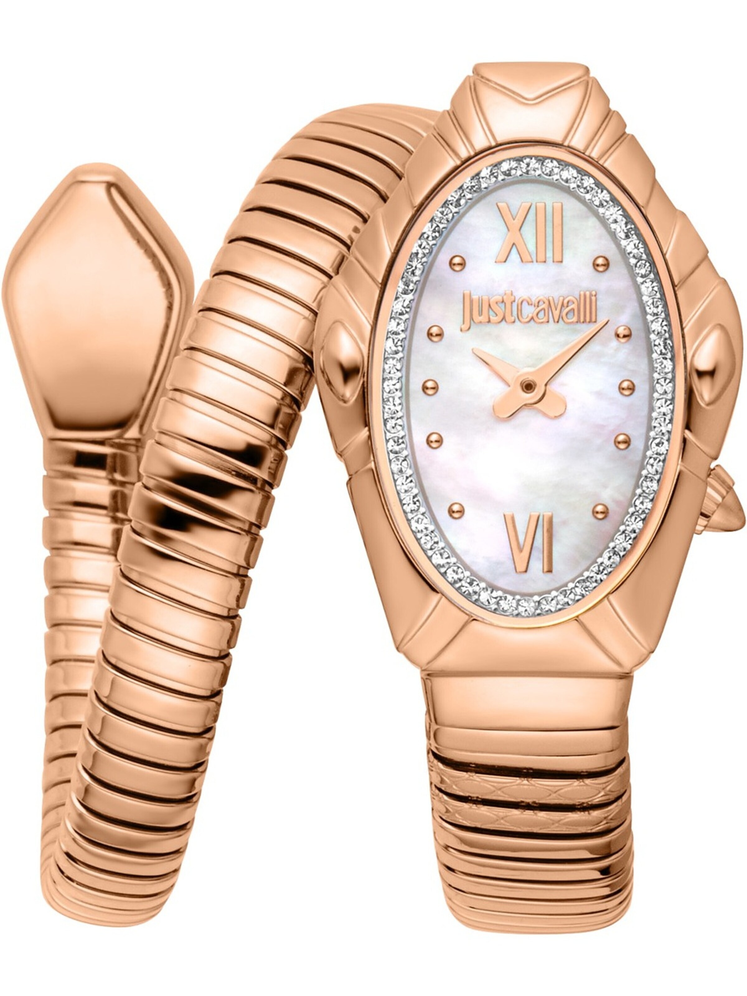 Just Cavalli Analog Watch in Gold: front