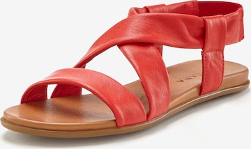 Sandalo di LASCANA in rosso: frontale