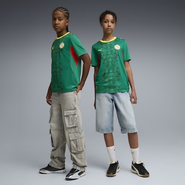 PUMA Functioneel shirt 'Senegal 2026' in Groen