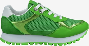 Sneaker bassa di TT. BAGATT in verde