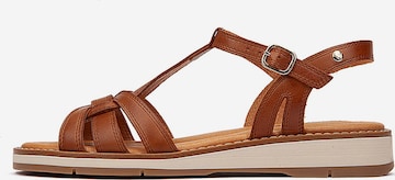 PIKOLINOS Remmisandaalit 'Roquetas' värissä ruskea: etupuoli