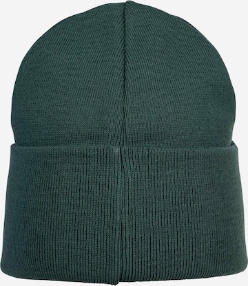 Champion Authentic Athletic Apparel Beanie in Green