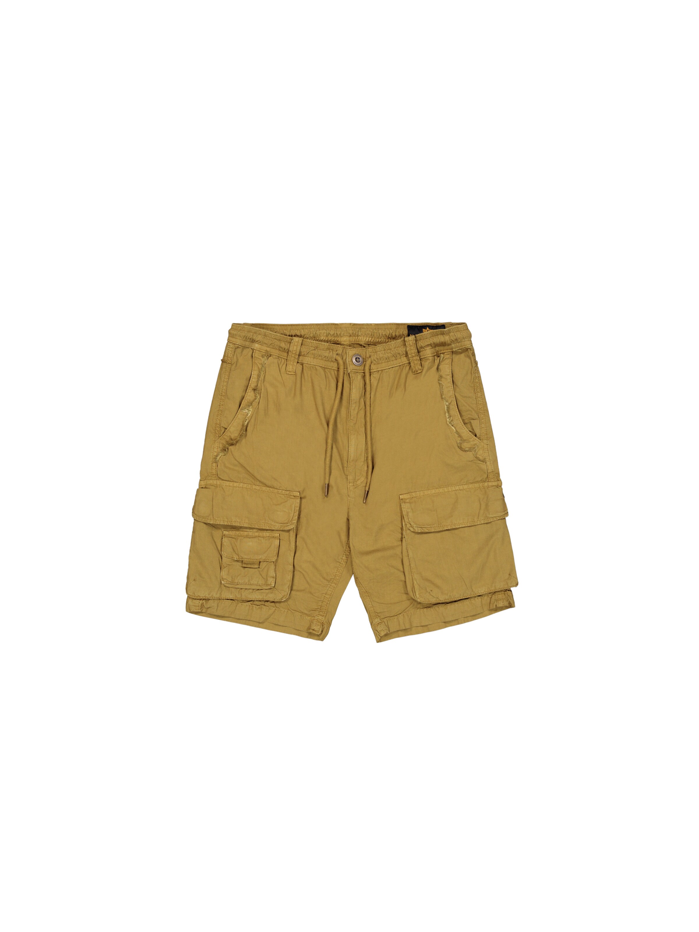 regular Pantaloni cargo di ALPHA INDUSTRIES in verde: frontale
