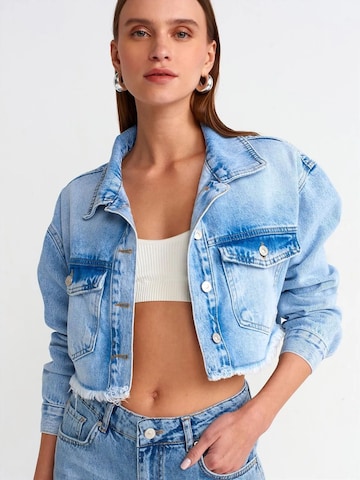 Dilvin Between-Season Jacket in Blue