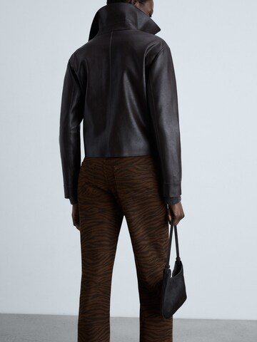 MANGO Regular Jeans in Brown