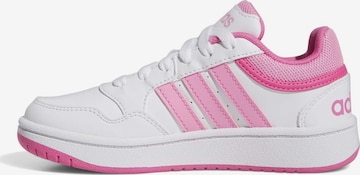 ADIDAS ORIGINALS Sneaker 'Hoops 3.0' in Weiß: Vorderseite