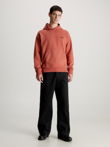 Calvin Klein Sweatshirt in Braun