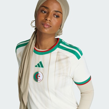 Maillot 'Algeria 26 Home' ADIDAS PERFORMANCE en blanc
