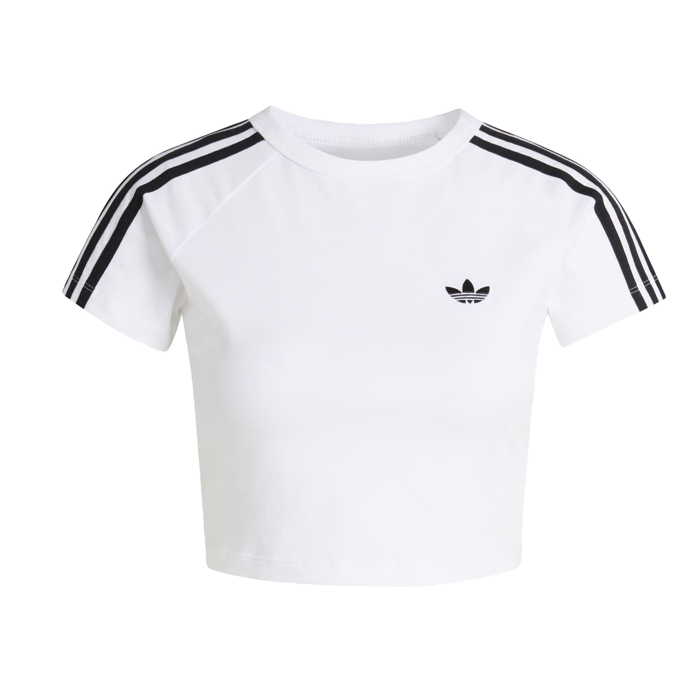 ADIDAS ORIGINALS T-Shirt in Weiß: Vorderseite