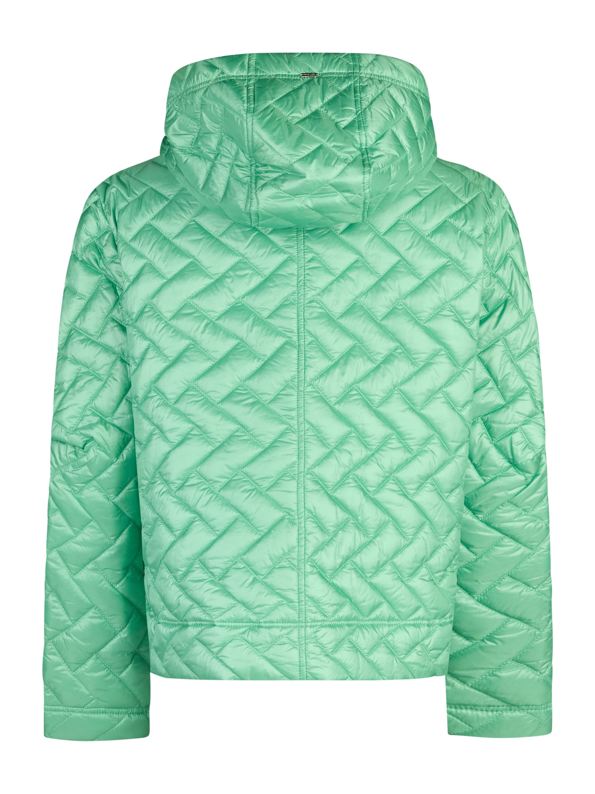 White Label Winter Jacket in Green