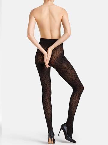 Collants camano en marron : derrière