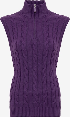 Felix Hardy Sweater in Purple: front