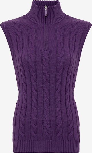 Felix Hardy Pull-over en violet foncé, Vue avec produit