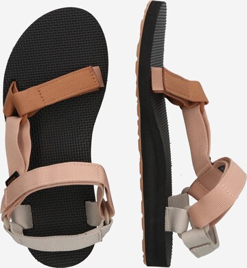 TEVA Sandals in Brown