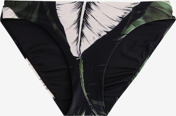 NextBikini donji dio - zelena boja: prednji dio