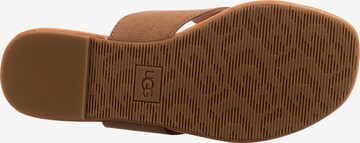 UGG T-Bar Sandals 'Carey' in Brown