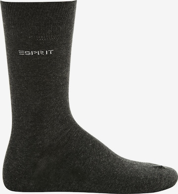 ESPRIT Socken in Grau