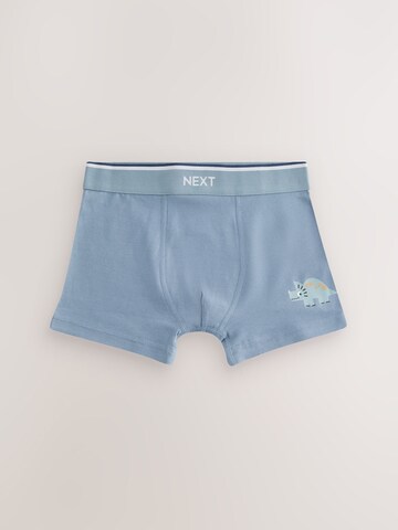 Pantaloncini intimi di Next in colori misti