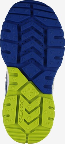 GEOX Sneaker in Blau