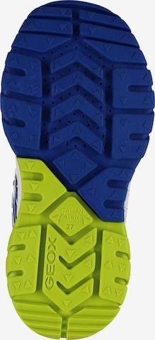 GEOX Sneakers in Blue